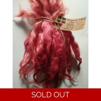 red and pink wavy wool locks, 6-9" texel x DevonCornwall longwool, 28g red and pink wavy wool locks, 6-9" texel x DevonCornwall longwool, 28g